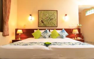 Ayurveda Spring of Life - Colombo - 3