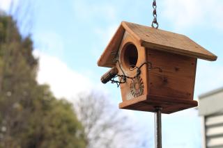 Stoney Creek Cottage - Trentham - 2