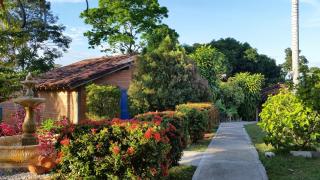 Hotel Parador del Gitano - 1