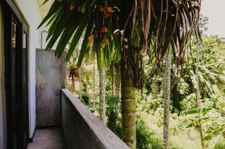 Jungle Soul - Mirissa - 2