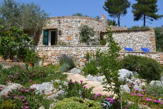 Pajara Rugiada - Gagliano del Capo - 2