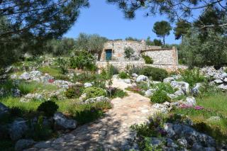 Pajara Rugiada - Gagliano del Capo - 1