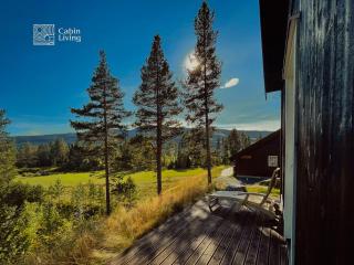 Cozy Hemsedal cabin ski, golf, wifi and grill - Hemsedal - 1