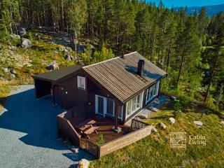 Cozy Hemsedal cabin ski, golf, wifi and grill - Hemsedal - 9