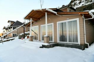 Silver Linings Cottage Mukteshwar by Travelcults - Mukteshwar - 0