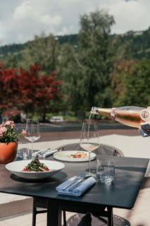 Hotel WH - Wiesnerhof - Sterzing - 1