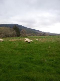 Kilmichael House - Drumnadrochit - 2