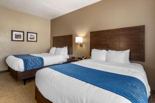 Comfort Inn & Suites Waterloo - Cedar Falls - 1