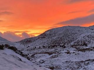 Haweswater Cottage - 4