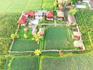 Pondok Indah Bungalows Tetebatu - Tetebatu - 1