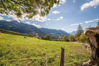 Apartment Belvedere - Caines - 5