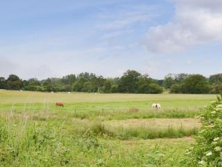 Eden Cottage - 2
