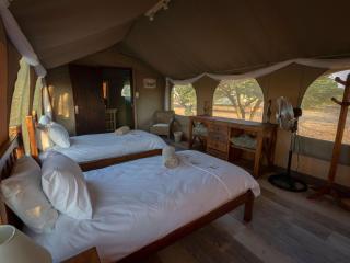 Working with Wildlife Conservation Safari on Khamab Kalahari Reserve - Kirstonia - 9
