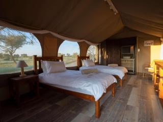 Working with Wildlife Conservation Safari on Khamab Kalahari Reserve - Kirstonia - 8