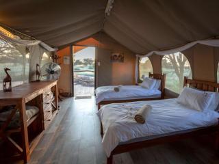 Working with Wildlife Conservation Safari on Khamab Kalahari Reserve - Kirstonia - 7