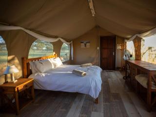 Working with Wildlife Conservation Safari on Khamab Kalahari Reserve - Kirstonia - 4