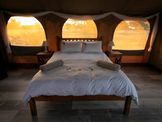 Working with Wildlife Conservation Safari on Khamab Kalahari Reserve - Kirstonia - 3