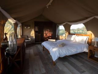 Working with Wildlife Conservation Safari on Khamab Kalahari Reserve - Kirstonia - 2
