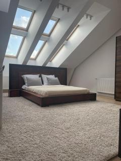 Premium Apartament Stary Rynek - Rzeszów - 6