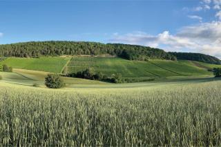 Escale en Champagne - - 4