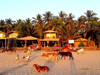 Sonho do Mar - Agonda - 8