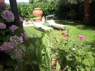 Villa degli Ulivi - 8