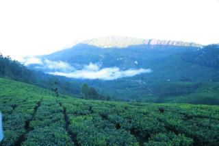 The Nirvana Resort Munnar - 0