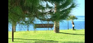 Mi Capricho 2BA Beachfront Complex-Apartment Beachside With sea views - La Cala de Mijas - 1