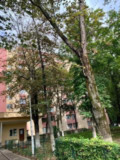 Luand Apartament - 2