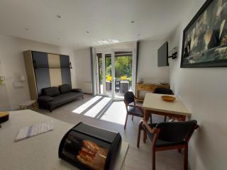 Centre St Jorioz : Charmant et spacieux studio avec terrasse et jardin privatif - 9