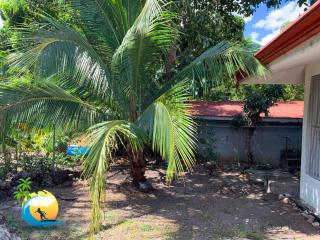 Beach house Matapalo Santa Cruz - 2