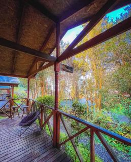Cabañas el Bosque Patagónico - 9