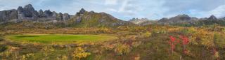 Wildlife Panorama Lofoten - Bøstad - 1
