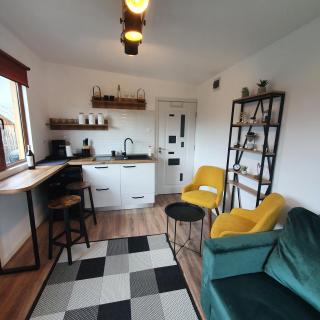 Tiny House Colibita - Colibiţa - 2