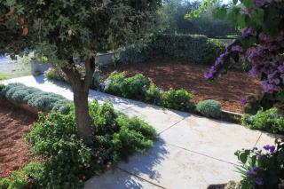 Apartments by the sea Ugljan - 348 - 4