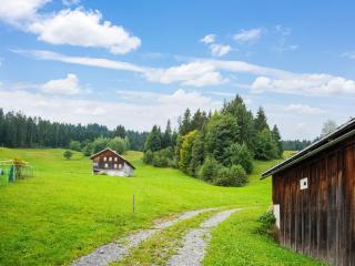 Vintage Holiday Home near Ski Area - Schwarzenberg - 7