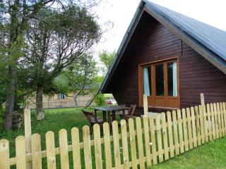 Chalet familial près de Vichy, terrasse, animaux acceptés - FR-1-489-274 - Le Vernet - 9
