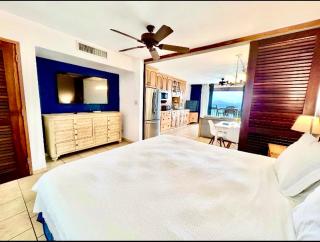 Sapphire Beach-Beachfront Condo SALE - View of Paradise - 4