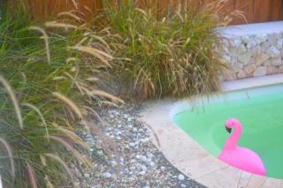 Homey Vacation and Carrental - Willemstad - 8