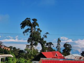 Nature's Lap Retreat - Pedong - 6