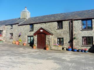 Rowes Farm - Marytavy - 9