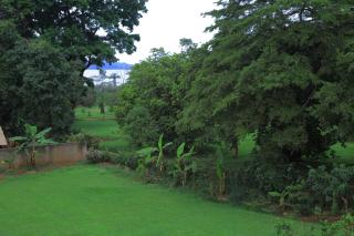 Egg Botanical View - Entebbe - 3