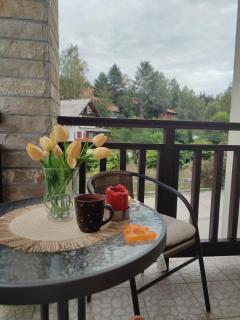 Zlatiborski Konaci-Apartman Maletic - Zlatibor - 1
