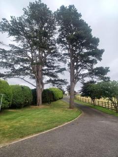 Loughview Retreat in the Mournes - 8