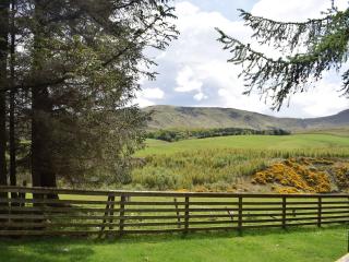 The Barn - Fintry - 5