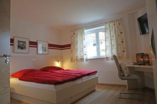 Zeilner Dachstein Apartment - Gosau - 5