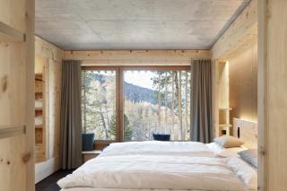 Alpine Lodge Chesa al Parc - Pontresina - 1