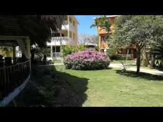 Room in Apartment - Delightful Caribbean apartment in Boca Chica - Boca Chica - 3