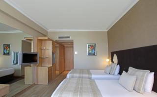 WOW Airport Hotel - Istambul - 1