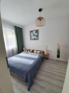 Apartament AMA Sibiu - Sibiu - 8
